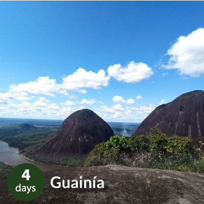 guainia_tb
