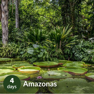 amazonas_tb2